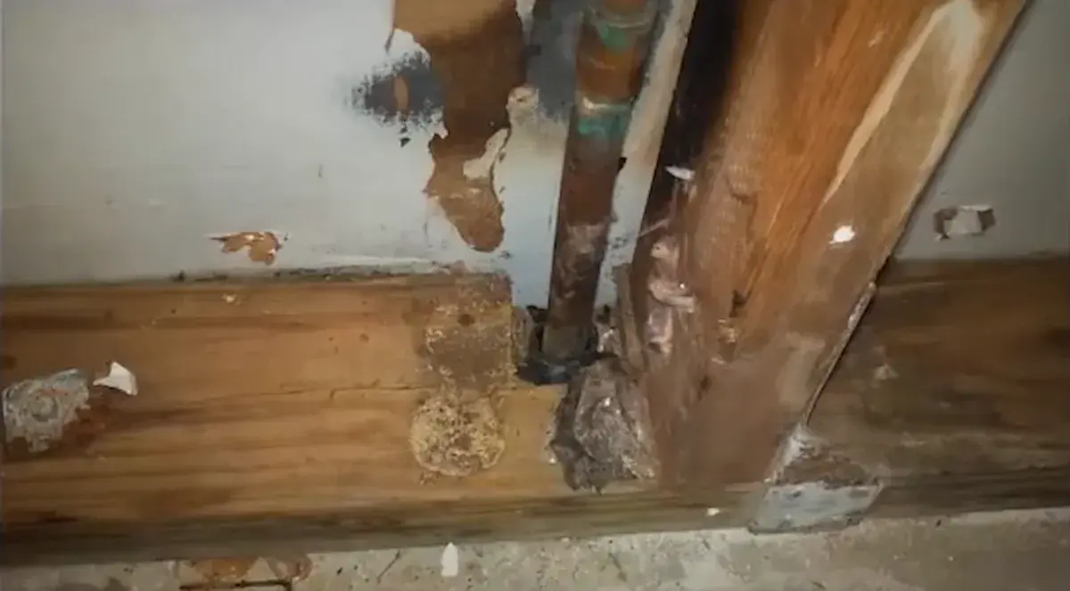 Slab leak detection West Palm Beach - pipe leak damage behind a wall