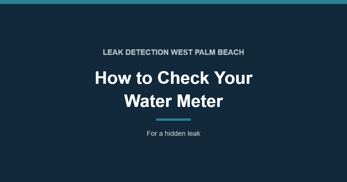 How to Check Your Water Meter for a Hidden Leak - leak detection West Palm Beach